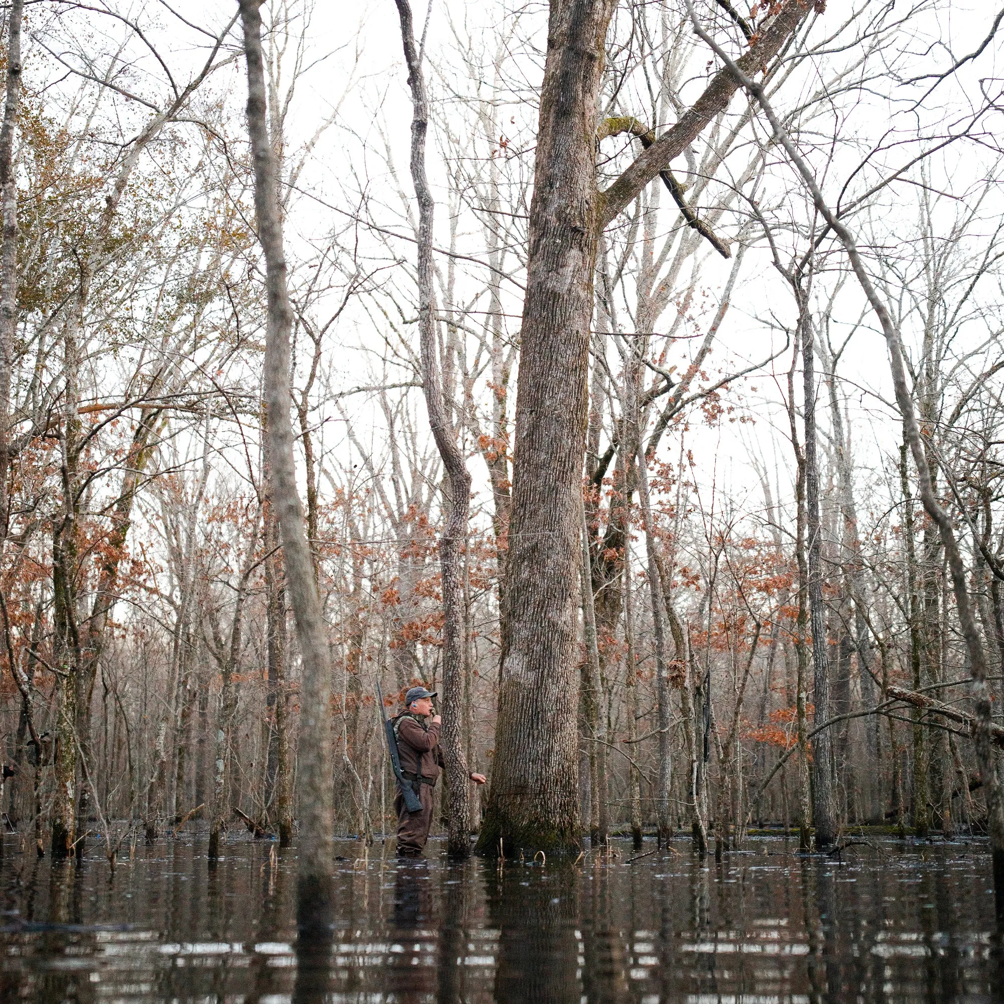 Chêne Gear Solid Brown  Waders