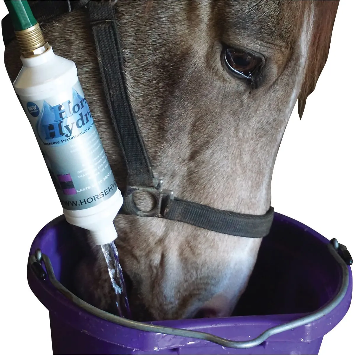 Horse Hydrator