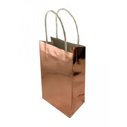 Paper Party Bag 21.5cm x 13cm x 8cm 5pk