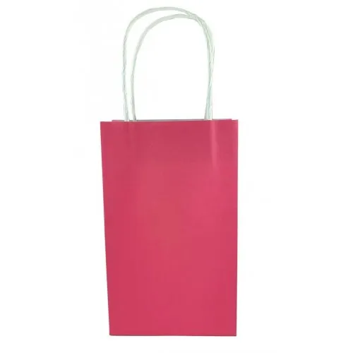 Paper Party Bag 21.5cm x 13cm x 8cm 5pk