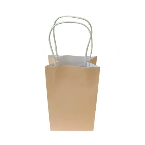 Paper Party Bag 21.5cm x 13cm x 8cm 5pk