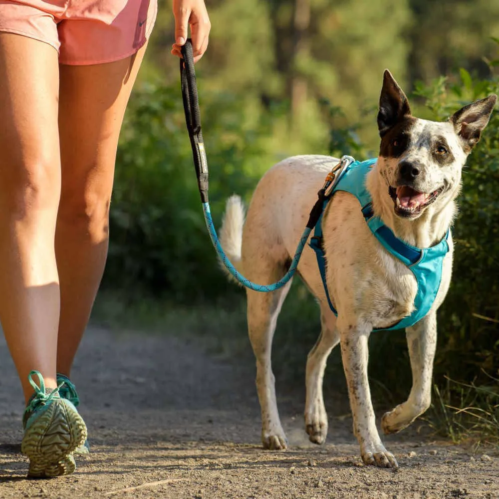 Ruffwear Knot-a-Long Reflective Rope Traffic Dog Leash (Blue Atoll)